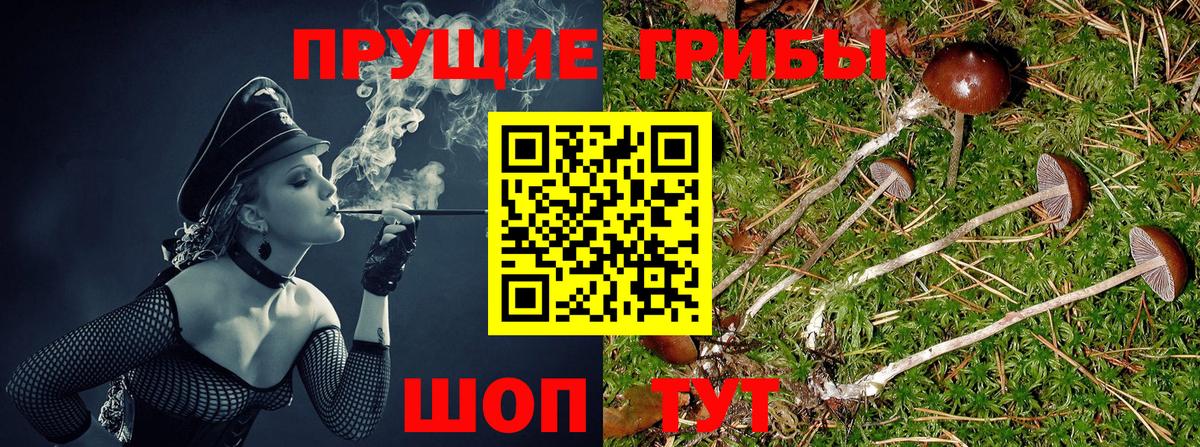 Галлюциногенные грибы Psilocybe  Галлюциногенные грибы ЛСД  Лабытнанги  Вход с VPN 