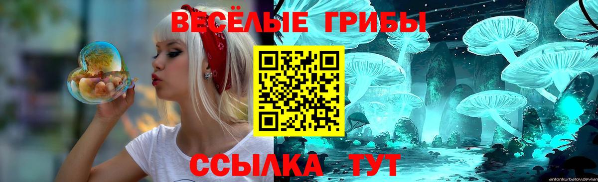 Галлюциногенные грибы Psilocybine cubensis Лабытнанги